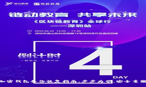 AES加密钱包备份恢复指南:步步为营,安全重塑资产