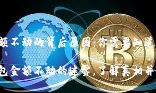 TP钱包金额不动的背后原因：你需要知道的真相

揭开TP钱包金额不动的迷雾，了解真相并行动起来！