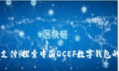 解锁未来支付：探索中国DCEF数字钱包的无限可能