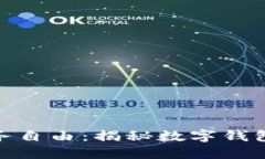 迅速解锁您的财务自由：揭秘数字钱包取现的无