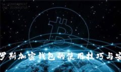 探索俄罗斯加密钱包的使用技巧与安全防护