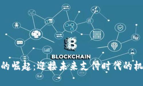 数字钱包的崛起:迎接未来支付时代的机遇与挑战