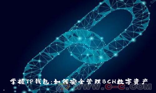 掌握TP钱包：如何安全管理BCH数字资产