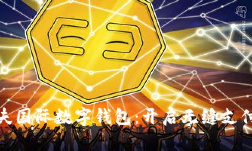 探索马尔代夫国际数字钱包：开启无缝支付的梦幻之旅