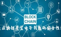 深度解析：区块链星鲨电子钱包的安全性到底如