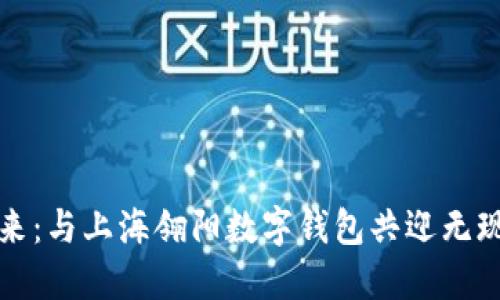 掌握未来:与上海翎阳数字钱包共迎无现金时代