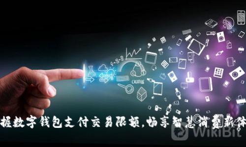 掌握数字钱包支付交易限额，畅享智慧消费新体验